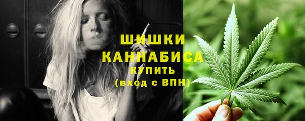 ПСИЛОЦИБИНОВЫЕ ГРИБЫ Заволжск