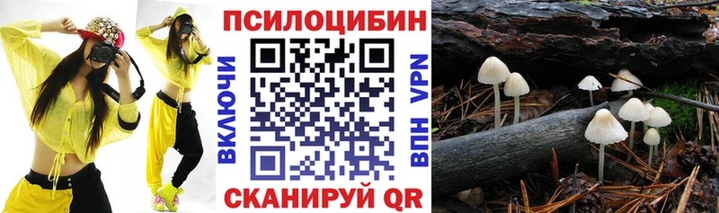 Купить  Саки  Псилоцибиновые грибы Magic Shrooms 